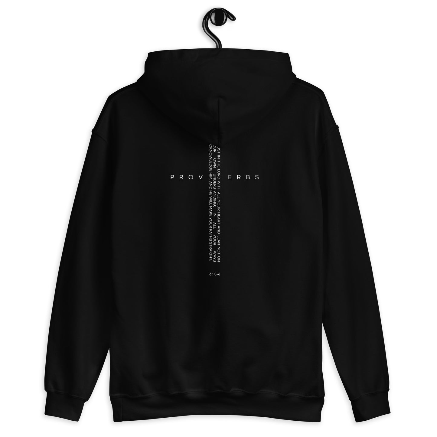 Proverbs 3:5 (back) Hoodie