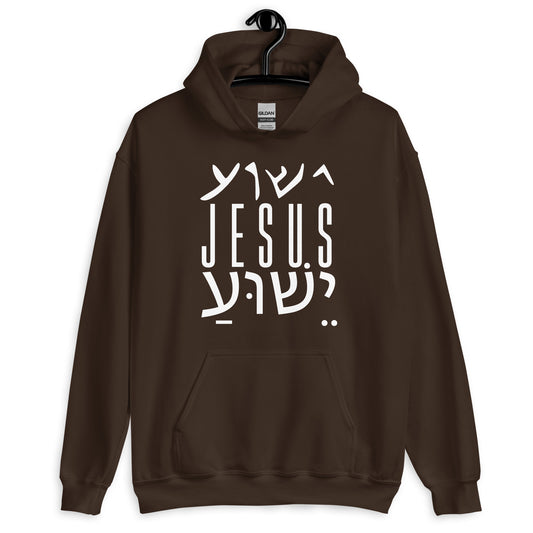 Jesus (English, Aramaic, Hebrew) Hoodie